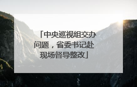 中央巡视组交办问题，省委书记赴现场督导整改