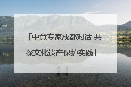 中意专家成都对话 共探文化遗产保护实践