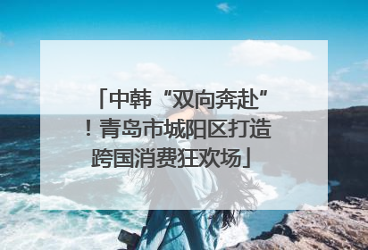中韩“双向奔赴”！青岛市城阳区打造跨国消费狂欢场
