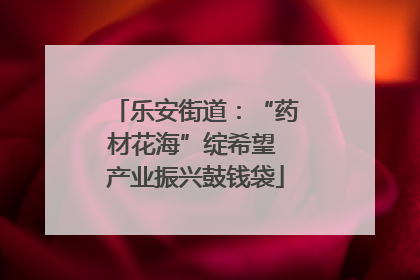 乐安街道：“药材花海”绽希望 产业振兴鼓钱袋