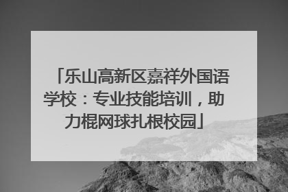 乐山高新区嘉祥外国语学校：专业技能培训，助力棍网球扎根校园