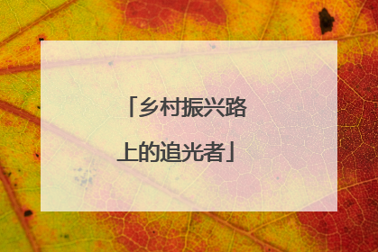 乡村振兴路上的追光者