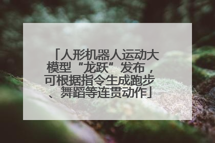 人形机器人运动大模型“龙跃”发布，可根据指令生成跑步、舞蹈等连贯动作
