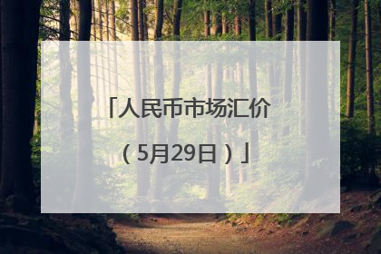 人民币市场汇价（5月29日）