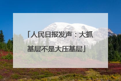 人民日报发声：大抓基层不是大压基层