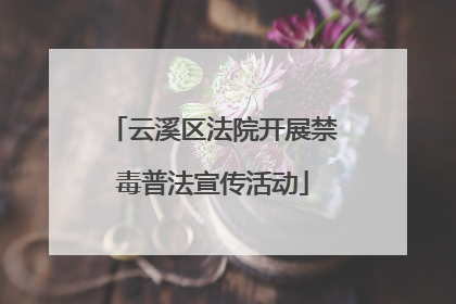 云溪区法院开展禁毒普法宣传活动