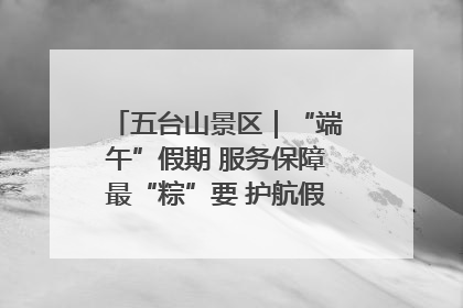 五台山景区｜“端午”假期 服务保障最“粽”要 护航假期“不打烊”
