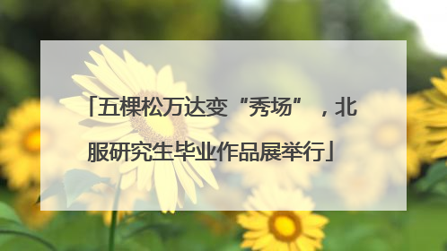 五棵松万达变“秀场”，北服研究生毕业作品展举行