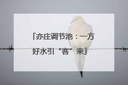 亦庄调节池：一方好水引“客”来