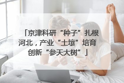 京津科研“种子”扎根河北，产业“土壤”培育创新“参天大树”