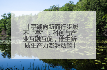 亭湖向新而行步履不“亭”：科创与产业互融互促，催生新质生产力澎湃动能