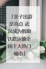 亲子出游是亮点 武汉成为假期铁路运输全国十大热门城市