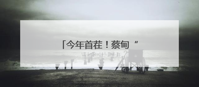 今年首茬！蔡甸“水果莲藕”上市