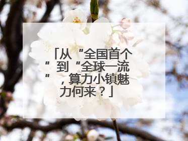 从“全国首个”到“全球一流”，算力小镇魅力何来？