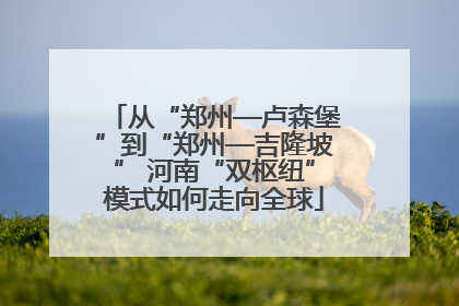 从“郑州—卢森堡”到“郑州—吉隆坡” 河南“双枢纽”模式如何走向全球