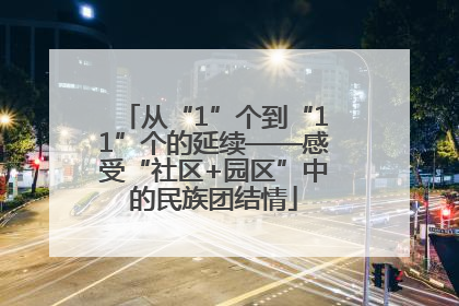 从“1”个到“11”个的延续——感受“社区+园区”中的民族团结情