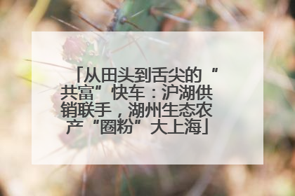 从田头到舌尖的“共富”快车：沪湖供销联手，湖州生态农产“圈粉”大上海
