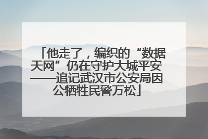 他走了，编织的“数据天网”仍在守护大城平安——追记武汉市公安局因公牺牲民警万松