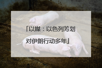 以媒：以色列筹划对伊朗行动多年