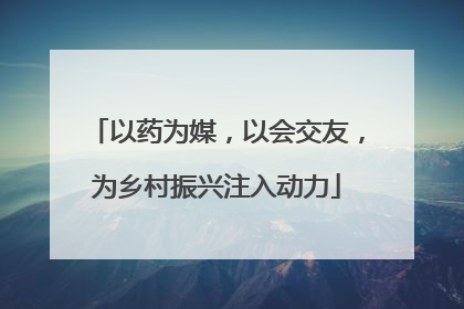以药为媒，以会交友，为乡村振兴注入动力