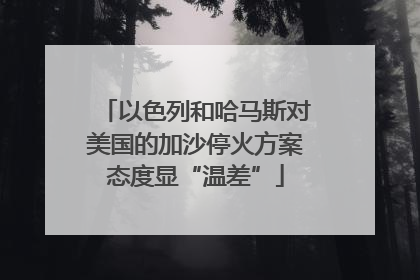 以色列和哈马斯对美国的加沙停火方案态度显“温差”