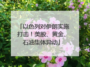 以色列对伊朗实施打击！美股、黄金、石油集体异动