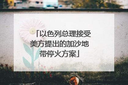 以色列总理接受美方提出的加沙地带停火方案