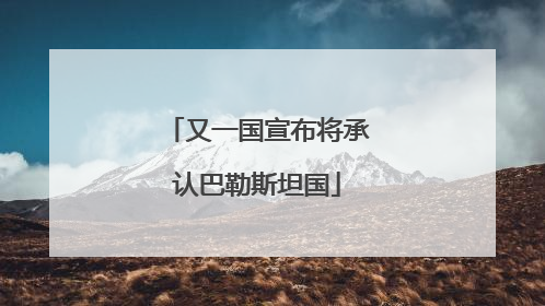 又一国宣布将承认巴勒斯坦国