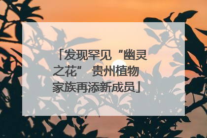 发现罕见“幽灵之花” 贵州植物家族再添新成员