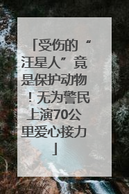 受伤的“汪星人”竟是保护动物！无为警民上演70公里爱心接力