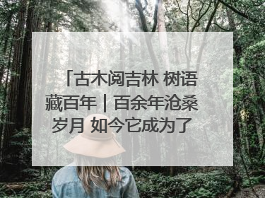 古木阅吉林 树语藏百年｜百余年沧桑岁月 如今它成为了“镇园之宝”