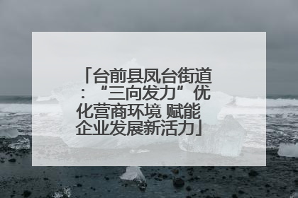 台前县凤台街道：“三向发力”优化营商环境 赋能企业发展新活力