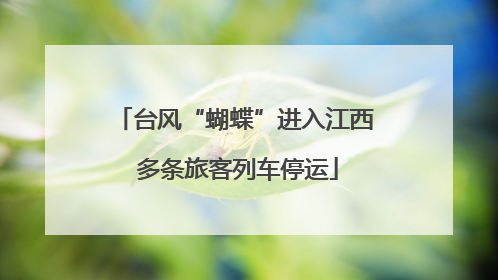 台风“蝴蝶”进入江西 多条旅客列车停运