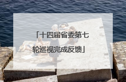 十四届省委第七轮巡视完成反馈