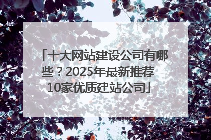 十大网站建设公司有哪些？2025年最新推荐10家优质建站公司