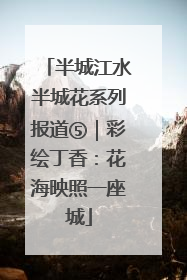 半城江水半城花系列报道⑤｜彩绘丁香：花海映照一座城
