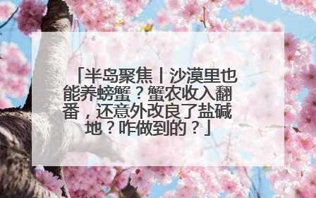 半岛聚焦丨沙漠里也能养螃蟹？蟹农收入翻番，还意外改良了盐碱地？咋做到的？