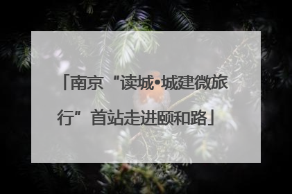 南京“读城•城建微旅行”首站走进颐和路