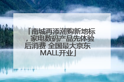 南城再添潮购新地标，家电数码产品先体验后消费 全国最大京东MALL开业