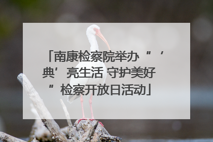 南康检察院举办“‘典’亮生活 守护美好”检察开放日活动