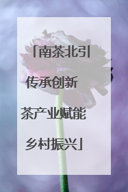 南茶北引传承创新 茶产业赋能乡村振兴