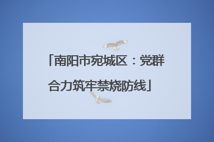 南阳市宛城区：党群合力筑牢禁烧防线