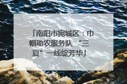 南阳市宛城区：巾帼助农服务队 “三夏”一线绽芳华