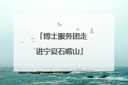 博士服务团走进宁夏石嘴山