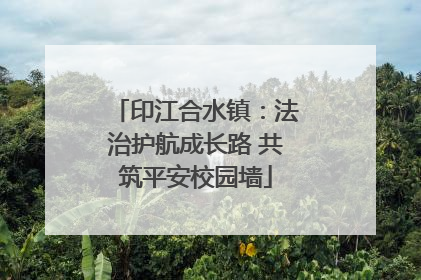 印江合水镇：法治护航成长路 共筑平安校园墙
