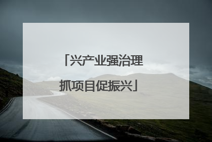 兴产业强治理 抓项目促振兴