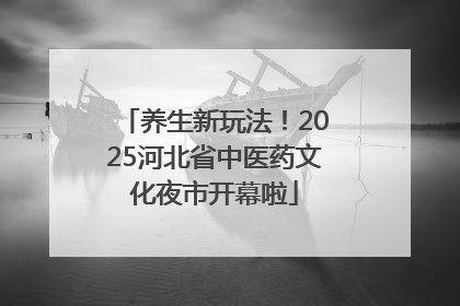 养生新玩法！2025河北省中医药文化夜市开幕啦