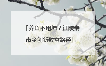 养鱼不用塘？江陵秦市乡创新致富路径