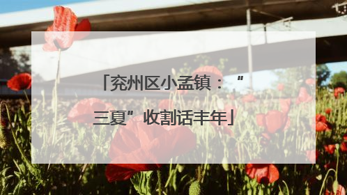 兖州区小孟镇：“三夏”收割话丰年
