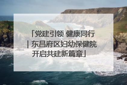 党建引领 健康同行｜东昌府区妇幼保健院开启共建新篇章
